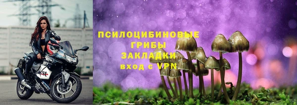 твердый Абинск