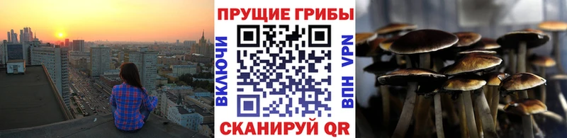 как найти наркотики  Курчатов  маркетплейс как зайти  Галлюциногенные грибы мухоморы 