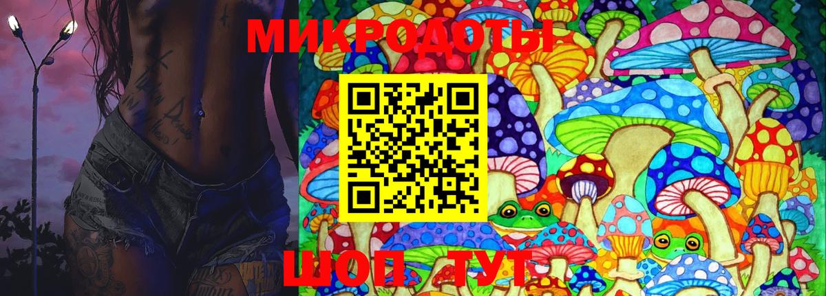 Галлюциногенные грибы Psilocybe  Вход с VPN  где купить наркоту  Курчатов 
